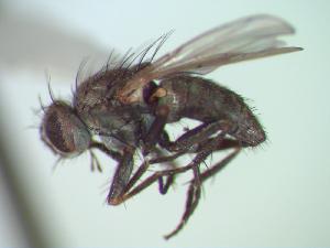  ( - BUIC-CHU0330)  @13 [ ] Unspecified (default): All Rights Reserved  Unspecified Unspecified