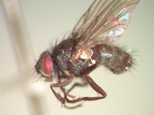  ( - BUIC-CHU0363)  @13 [ ] Unspecified (default): All Rights Reserved  Unspecified Unspecified