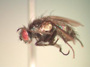  ( - BUIC-CHU0364)  @13 [ ] Unspecified (default): All Rights Reserved  Unspecified Unspecified