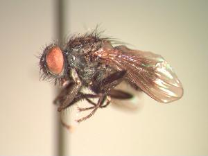  ( - BUIC-CHU0366)  @13 [ ] Unspecified (default): All Rights Reserved  Unspecified Unspecified