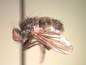  ( - BUIC-CHU0368)  @13 [ ] Unspecified (default): All Rights Reserved  Unspecified Unspecified
