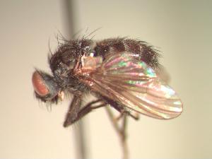  ( - BUIC-CHU0368)  @13 [ ] Unspecified (default): All Rights Reserved  Unspecified Unspecified