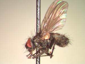  ( - BUIC-CHU0371)  @13 [ ] Unspecified (default): All Rights Reserved  Unspecified Unspecified