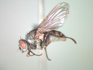  ( - BUIC-CHU0534)  @13 [ ] Unspecified (default): All Rights Reserved  Unspecified Unspecified