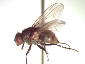  ( - BUIC-CHU0539)  @13 [ ] Unspecified (default): All Rights Reserved  Unspecified Unspecified