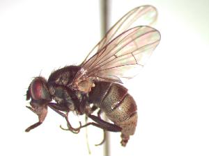  ( - BUIC-CHU0540)  @13 [ ] Unspecified (default): All Rights Reserved  Unspecified Unspecified