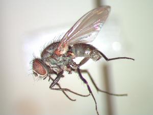  ( - BUIC-CHU0550)  @13 [ ] Unspecified (default): All Rights Reserved  Unspecified Unspecified