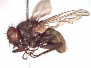  ( - BUIC-CHU0555)  @13 [ ] Unspecified (default): All Rights Reserved  Unspecified Unspecified