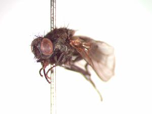  ( - BUIC-CHU0556)  @13 [ ] Unspecified (default): All Rights Reserved  Unspecified Unspecified