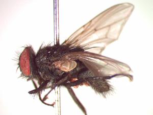  ( - BUIC-CHU0558)  @13 [ ] Unspecified (default): All Rights Reserved  Unspecified Unspecified