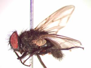  ( - BUIC-CHU0558)  @13 [ ] Unspecified (default): All Rights Reserved  Unspecified Unspecified