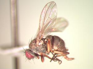  ( - BUIC-CHU0617)  @12 [ ] Unspecified (default): All Rights Reserved  Unspecified Unspecified