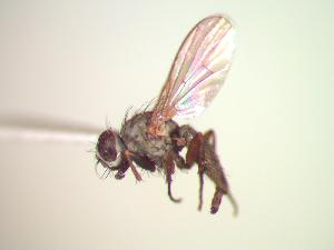  ( - BUIC-CHU0627)  @12 [ ] Unspecified (default): All Rights Reserved  Unspecified Unspecified