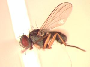  ( - BUIC-CHU0805)  @12 [ ] Unspecified (default): All Rights Reserved  Unspecified Unspecified