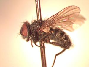  ( - BUIC-CHU0912)  @13 [ ] Unspecified (default): All Rights Reserved  Unspecified Unspecified