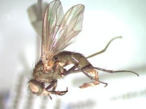  ( - BUIC-CHU0934)  @13 [ ] Unspecified (default): All Rights Reserved  Unspecified Unspecified