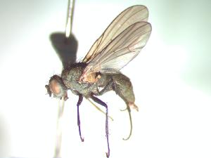 ( - BUIC-CHU0935)  @13 [ ] Unspecified (default): All Rights Reserved  Unspecified Unspecified