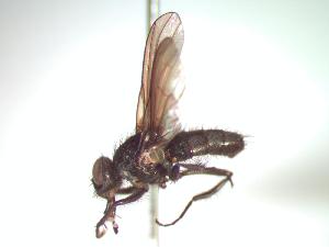  ( - BUIC-CHU0939)  @12 [ ] Unspecified (default): All Rights Reserved  Unspecified Unspecified