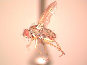  ( - BUIC-CHU0994)  @13 [ ] Unspecified (default): All Rights Reserved  Unspecified Unspecified
