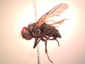 ( - BUIC-CHU1005)  @11 [ ] Unspecified (default): All Rights Reserved  Unspecified Unspecified