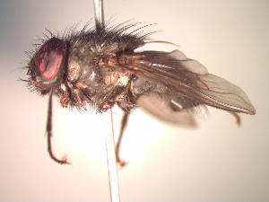  ( - BUIC-CHU1007)  @12 [ ] Unspecified (default): All Rights Reserved  Unspecified Unspecified