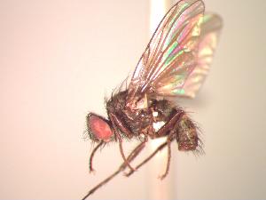  ( - BUIC-CHU1027)  @12 [ ] Unspecified (default): All Rights Reserved  Unspecified Unspecified