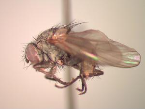  ( - BUIC-CHU1035)  @12 [ ] Unspecified (default): All Rights Reserved  Unspecified Unspecified