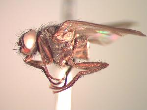  ( - BUIC-CHU1050)  @13 [ ] Unspecified (default): All Rights Reserved  Unspecified Unspecified