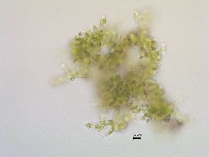  ( - GREFG-67-BGH)  @11 [ ] Creative Commons BY NC SA (2023) Norwegian University of Life Sciences NMBU Norwegian University of Life Sciences NMBU