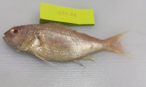  ( - 048-M2-19b)  @11 [ ] by-nc-sa (2016) Dr.Arif Muhammad Khan University of Sargodha ,Sargodha ,Pakistan