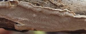  ( - BAB 3980)  @11 [ ] Unspecified (default): All Rights Reserved  Unspecified Unspecified