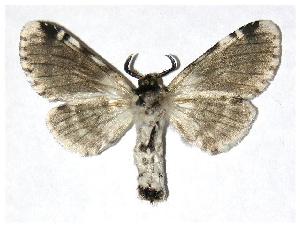  ( - 05-SRNP-47380)  @13 [ ] CreativeCommons - Attribution Non-Commercial Share-Alike (2006) Daniel H. Janzen Guanacaste Dry Forest Conservation Fund