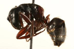  ( - CHU06-ANT-010)  @14 [ ] Unspecified (default): All Rights Reserved  Unspecified Unspecified