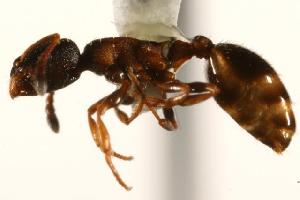  ( - CHU06-ANT-087)  @14 [ ] Unspecified (default): All Rights Reserved  Unspecified Unspecified