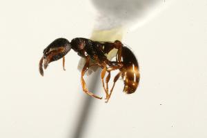  ( - CHU06-ANT-192)  @13 [ ] Unspecified (default): All Rights Reserved  Unspecified Unspecified