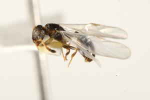  ( - CHU06-ANT-197)  @13 [ ] Unspecified (default): All Rights Reserved  Unspecified Unspecified