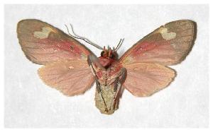  ( - 05-SRNP-5400)  @14 [ ] CreativeCommons - Attribution Non-Commercial Share-Alike (2006) Daniel H. Janzen Guanacaste Dry Forest Conservation Fund