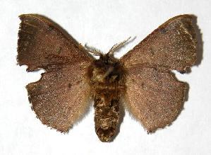  ( - 04-SRNP-23455)  @14 [ ] CreativeCommons - Attribution Non-Commercial Share-Alike (2006) Daniel H. Janzen Guanacaste Dry Forest Conservation Fund