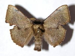  ( - 05-SRNP-23149)  @14 [ ] CreativeCommons - Attribution Non-Commercial Share-Alike (2006) Daniel H. Janzen Guanacaste Dry Forest Conservation Fund