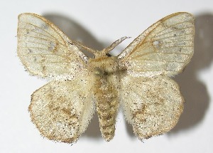  ( - 12-SRNP-61)  @14 [ ] CreativeCommons - Attribution Non-Commercial Share-Alike (2014) Daniel H. Janzen Guanacaste Dry Forest Conservation Fund