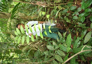  ( - BioBot05098)  @11 [ ] Copyright (2010) Unspecified Unspecified