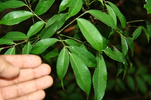  ( - BioBot00114)  @11 [ ] Copyright (2010) Unspecified Unspecified