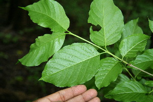  ( - BioBot00122)  @11 [ ] Copyright (2010) Unspecified Unspecified