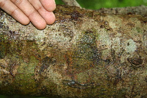  ( - BioBot00122)  @11 [ ] Copyright (2010) Unspecified Unspecified