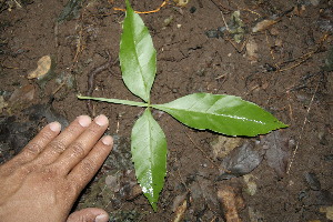  ( - BioBot00143)  @11 [ ] Copyright (2010) Unspecified Unspecified