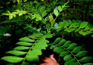  ( - BioBot00248)  @11 [ ] Copyright (2010) Unspecified Unspecified