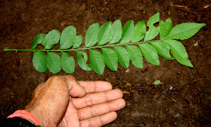  ( - BioBot00248)  @11 [ ] Copyright (2010) Unspecified Unspecified