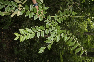  ( - BioBot00322)  @11 [ ] Copyright (2010) Unspecified Unspecified