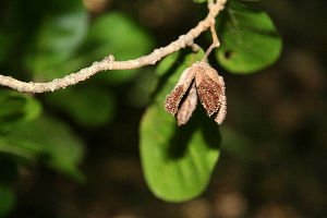  ( - BioBot00357)  @11 [ ] Copyright (2010) Unspecified Unspecified
