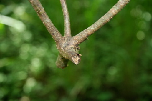  ( - BioBot00416)  @11 [ ] Copyright (2010) Unspecified Unspecified